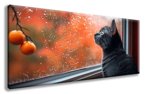 Tiere Diamond Painting, Katze Diamond Painting Erwachsene Groß XXL 30x60 cm, 5D Runder Vollbohrer Diamant Crystal Art Bastelnset, Mosaik Bastel Erwachsene für Deko Schlafzimmer, Geschenke -zzg250866 von ZZGBDWOU