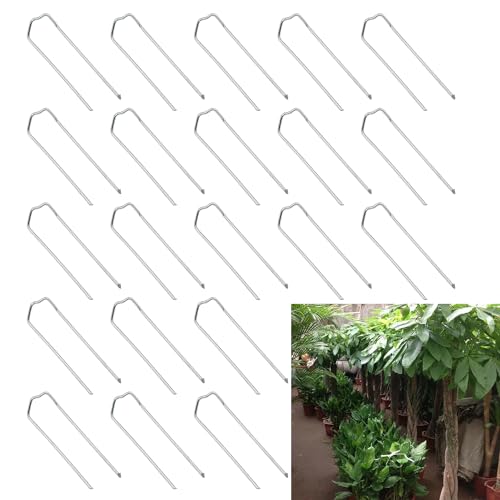 ZZHXSM 200 Stück 14 x 45 mm Blumengrün U Form Pins Pflanznadeln Blumennadeln Silbernadeln Metall gefertigte Knebel für Hochzeitsdekorationen und Garten- oder Terrassenarrangements ZZHXSM 200 Stück 14 x 45 mm Blumengrün U Form Pins Pflanznadeln Blumennadeln Silbernadeln Metall gefertigte Knebel für Hochzeitsdekorationen und Garten- oder Terrassenarrangements von ZZHXSM