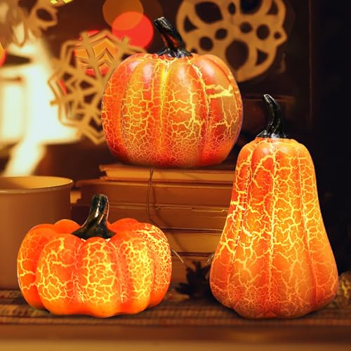 ZZXLOPEZ Herbstdeko Kürbis Deko Figuren mit LED Lichter, 3 Stück Dekor Led-Kürbislampe, Helloween Kürbis Lampe, Herbst Deko Innen Kürbis Laterne Beleuchtet für Erntedankfest Halloween Herbstdeko ZZXLOPEZ Herbstdeko Kürbis Deko Figuren mit LED Lichter, 3 Stück Dekor Led-Kürbislampe, Helloween Kürbis Lampe, Herbst Deko Innen Kürbis Laterne Beleuchtet für Erntedankfest Halloween Herbstdeko von ZZXLOPEZ