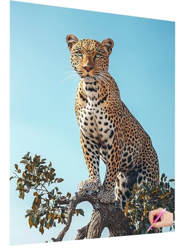 Diamond Painting Erwachsene Leopard Diamant Painting Bilder Tiere 5D Diamond Art Set für Kinder Anfänger, DIY Diamant Cross Stickerei Kreativ Set für Erwachsene Deko Wohnzimmer Geschenke 60x80cm A-12 Diamond Painting Erwachsene Leopard Diamant Painting Bilder Tiere 5D Diamond Art Set für Kinder Anfänger, DIY Diamant Cross Stickerei Kreativ Set für Erwachsene Deko Wohnzimmer Geschenke 60x80cm A-12 von ZaeMynnu