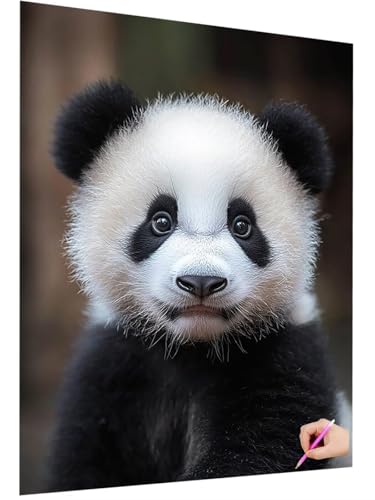 Diamond Painting Tiere Diamond Painting Erwachsene Kinder 5D DIY Diamant Basteln Set Diamant Malerei Panda Bilder Mosaikherstellung Bastelset Erwachsene Zimmer Deko Geschenke für Frauen 90x120cm O-23 Diamond Painting Tiere Diamond Painting Erwachsene Kinder 5D DIY Diamant Basteln Set Diamant Malerei Panda Bilder Mosaikherstellung Bastelset Erwachsene Zimmer Deko Geschenke für Frauen 90x120cm O-23 von ZaeMynnu