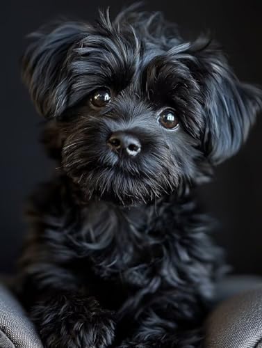 Diamond Painting Personalisiert, 5D Diamond Painting Eigenes Foto, Personalisierte Bild Diamant, Mosaikherstellung Custom Diamant Bilder, Crystal Art Basteln Erwachsene Weihnachten Decor 80x100cm H-64 von Zahnngxp