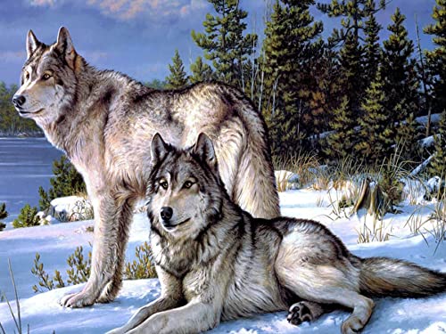 Zariocy 5D Diamond Painting Kit Animal Wolf, DIY Diamond Art Baum Weißer Wolf Adult Diamond Painting Kits Kristall Diamant-stickerei Gemälde Kunsthandwerk Für Zuhause Wanddekoration 30x40 Cm von Zariocy