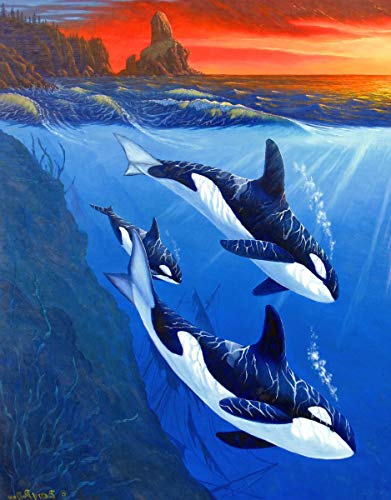 Zariocy 5D Diamond Painting Zubehör Delfin Sonnenaufgang, DIY Diamant Painting Malerei Bilder Tier Seeblick Sonnenuntergang Hai Malerei Crystal Strass Stickerei für Haus, Wand Dekorationen 30×40cm von Zariocy