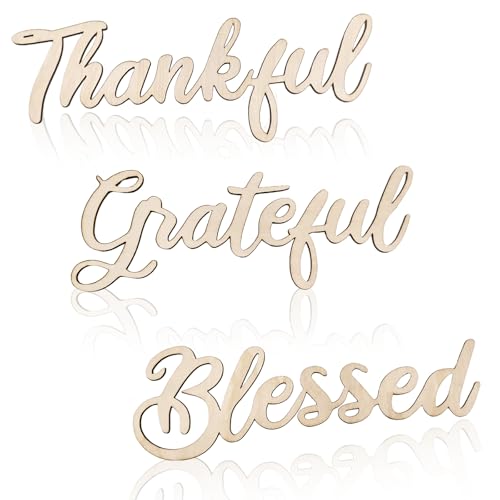 Zaruatu 3 Stück unlackiertes Holz Thanksgiving Ausschnitt Dankbar Dankbar Gesegnetes Wort Skulpturen Schild Holzbuchstaben Dekorationen für Kranz DIY Handwerk Türhänger Wandkunst Dekor (Wood-Thankful) Zaruatu 3 Stück unlackiertes Holz Thanksgiving Ausschnitt Dankbar Dankbar Gesegnetes Wort Skulpturen Schild Holzbuchstaben Dekorationen für Kranz DIY Handwerk Türhänger Wandkunst Dekor (Wood-Thankful) von Zaruatu