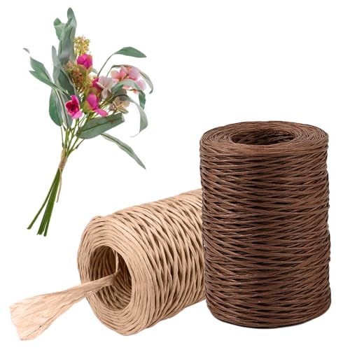 Zasvec Papierdraht Natur 2 Rollen Papierkordel 200m Papierbindedraht Papierkordel mit Eisendraht zum Basteln Dekodraht Blumendraht Eisendraht zum Basteln für Hochzeiten Dekoration und DIY Zasvec Papierdraht Natur 2 Rollen Papierkordel 200m Papierbindedraht Papierkordel mit Eisendraht zum Basteln Dekodraht Blumendraht Eisendraht zum Basteln für Hochzeiten Dekoration und DIY von Zasvec