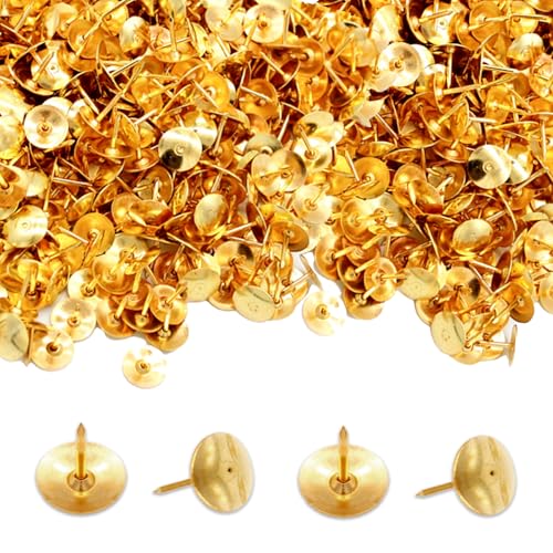 Zcbzbn Pack of 400 Thumbtacks Round Large Headed Staples for Pictures DIY, Office Sofa Furniture Marking (Gold Silver) (Gold) von Zcbzbn