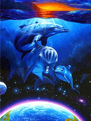 Malen nach Zahlen Ölgemälde nach Zahlen DIY Kit für erwachsenes Kind Delphin Tier Wandkunst Besonderes Geschenk Leinwand Gemälde 40x50cm von Zdklfm69