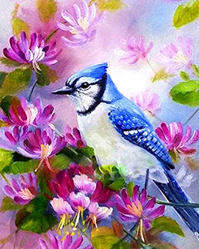 Malen nach Zahlen Ölgemälde nach Zahlen Vogel-Blumen-Malerei nach Zahlen für Erwachsene handgemaltes Ölgemälde für Wohnkultur-Kunst 40x50cm Malen nach Zahlen Ölgemälde nach Zahlen Vogel-Blumen-Malerei nach Zahlen für Erwachsene handgemaltes Ölgemälde für Wohnkultur-Kunst 40x50cm von Zdklfm69
