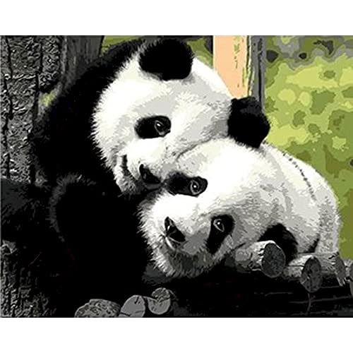 Zdklfm69 Malen nach Zahlen Ölgemälde nach Zahlen Chinesischer Panda DIY Erwachsene Foto Bild Acrylfarbe Ölgemälde Home Malerei Dekoration Geschenk 40x50cm von Zdklfm69