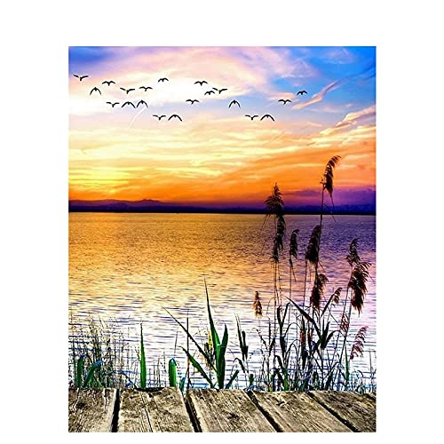 Zdklfm69 Malen nach Zahlen Ölgemälde nach Zahlen Landschaft DIY Öl auf Leinwand Landschaft Digitale Handmalerei (ohne Rahmen) 40x50cm von Zdklfm69