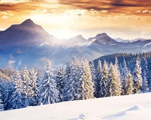 Zdklfm69 Malen nach Zahlen Ölgemälde nach Zahlen Leinwand-Kits Winterlandschaft Heimdekoration Malen nach Zahlen Baum Acrylfarbe Einzigartiges Geschenk 40x50cm Zdklfm69 Malen nach Zahlen Ölgemälde nach Zahlen Leinwand-Kits Winterlandschaft Heimdekoration Malen nach Zahlen Baum Acrylfarbe Einzigartiges Geschenk 40x50cm von Zdklfm69