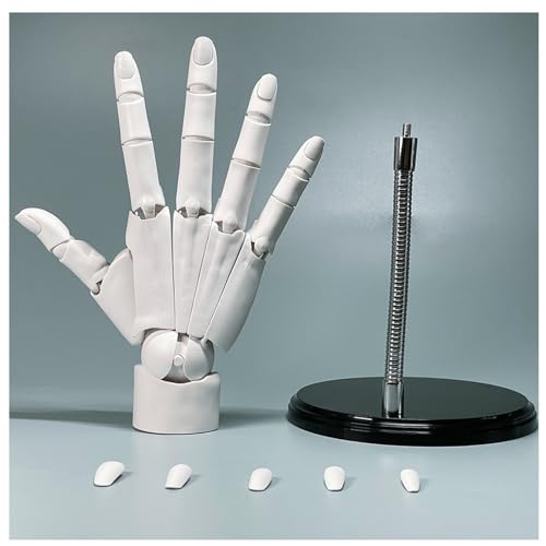 Zeetan 1:1 Flexibles Modell Für Die Rechte Hand, Gelenke Bewegliche Künstlerpuppen-Handfigur Zum Anzeigen Von Skizzen Und Malen,Weiß Zeetan 1:1 Flexibles Modell Für Die Rechte Hand, Gelenke Bewegliche Künstlerpuppen-Handfigur Zum Anzeigen Von Skizzen Und Malen,Weiß von Zeetan
