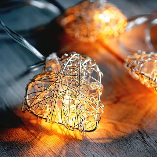 10er LED Lichterkette Herz,Herzen Warmweiß,LED Lichterkette Silberne Herzen,Led Herz Strom,Weihnachtsbeleuchtung,LED Lichterkette,Partylichterkette für Innen & Außen 10er LED Lichterkette Herz,Herzen Warmweiß,LED Lichterkette Silberne Herzen,Led Herz Strom,Weihnachtsbeleuchtung,LED Lichterkette,Partylichterkette für Innen & Außen von ZeiLaBang Kakadi