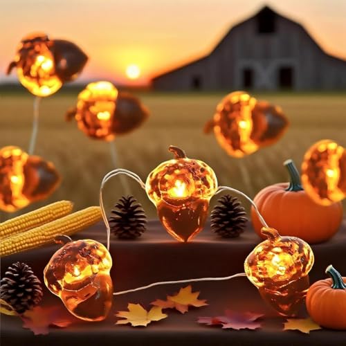 Eicheln Lichterkette Herbst,2M 20LED Herbst Lichterkette,Herbst,Outdoorlichterkette Batterie,Fall Lights for Home für Thanksgiving- und Halloween-Dekoration im Innen- und Außenbereich Eicheln Lichterkette Herbst,2M 20LED Herbst Lichterkette,Herbst,Outdoorlichterkette Batterie,Fall Lights for Home für Thanksgiving- und Halloween-Dekoration im Innen- und Außenbereich von ZeiLaBang Kakadi