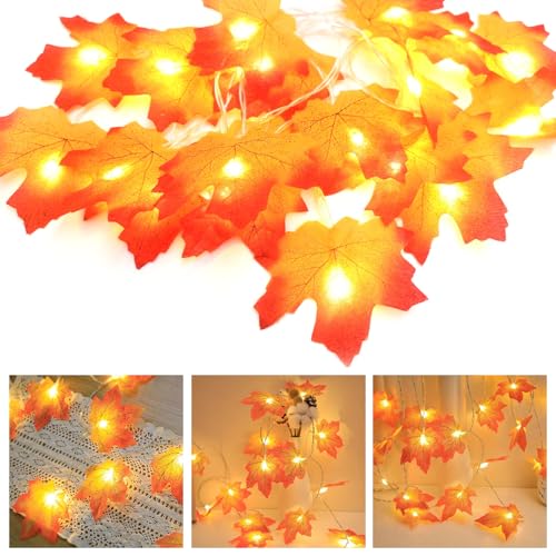 Herbst Lichterkette,1.5M 10LED Ahornblätter Lichterketten,LED Lichterkette,Herbst Dekoration,Künstliche Ahornblatt Herbst Girlande für Halloween,für Thanksgiving Decor Indoor Outdoor Herbst Lichterkette,1.5M 10LED Ahornblätter Lichterketten,LED Lichterkette,Herbst Dekoration,Künstliche Ahornblatt Herbst Girlande für Halloween,für Thanksgiving Decor Indoor Outdoor von ZeiLaBang Kakadi