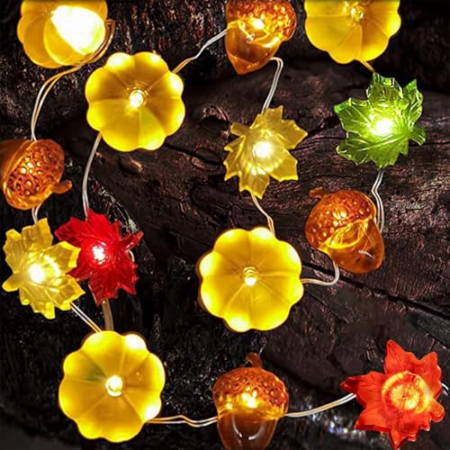 Herbst Lichterkette,2M 20LED Eicheln Lichterkette,Herbst Ahornblatt Kürbisse Lichterkettefor Home,Batteriebetrieben,Kürbis Ahornblätter Eichel für Herbstdeko Erntedankfest Halloween Party Deko Herbst Lichterkette,2M 20LED Eicheln Lichterkette,Herbst Ahornblatt Kürbisse Lichterkettefor Home,Batteriebetrieben,Kürbis Ahornblätter Eichel für Herbstdeko Erntedankfest Halloween Party Deko von ZeiLaBang Kakadi