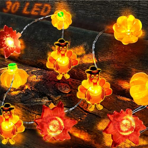 Herbst Lichterkette,2M 20LEDTruthahn Lichterkette Herbst,Auting Herbst Dekoration,Halloween Deko,Kürbis Ahornblatt Truthahn Lichterkette für Innen Außen Erntedankfest Lights for Home Halloween Deko Herbst Lichterkette,2M 20LEDTruthahn Lichterkette Herbst,Auting Herbst Dekoration,Halloween Deko,Kürbis Ahornblatt Truthahn Lichterkette für Innen Außen Erntedankfest Lights for Home Halloween Deko von ZeiLaBang Kakadi