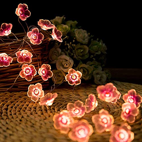 LED Lichterkette Kirschblüten Deko,2M 20LED Kirschblüten Lichterkette Wand,Lichterkette Fenster Innen,LED Lichterkette Batteriebetrieben,Lichterkette Innen Außen für Garten Hochzeits Zimmer Deko ﻿ von ZeiLaBang Kakadi