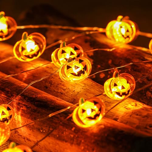 ZeiLaBang Kakadi Halloween Lichterkette,2M 20LED Kürbis Lichterkette,Kürbis Herbst Deko Dekoration Innen,Mini Halloween Deko,Batteriebetrieben,für Garten,Blume,Terrasse,Weihnachten,Partys von ZeiLaBang Kakadi