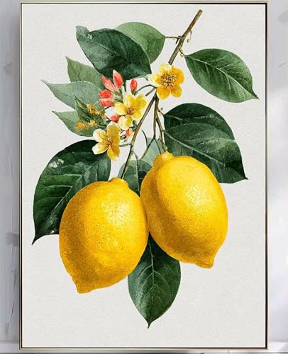 Diamond Painting Zitrone, Diamond painting Erwachsene Blume Muster Design 5D DIY Eckige Vollbohrer Diamanten Malerei Stickerei Kreuzstich Basteln Erwachsene für Deko Wohnzimmer (40x55cm) -zpg25075C von Zeipopge