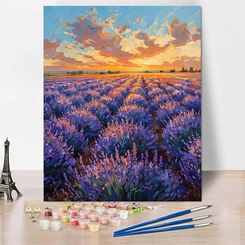 Malen Nach Zahlen Anlage Malen Nach Zahlen Erwachsene, Paint by Numbers Lavendel Paint by Numbers Adult Inklusive 3 Pinsel und Acrylfarbe für Zimmer Deko Wohnzimmer, Geschenke (40x60cm) -zp2535X von Zeipopge