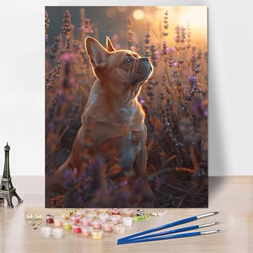 Malen Nach Zahlen Erwachsene Hund Malen Nach Zahlen, Paint by Numbers Lavendel Painting by Numbers Bastelset Erwachsene mit 3 Pinseln und Acrylfarbe für Zimmer Deko, Geschenke (70x95cm) -zp25344 von Zeipopge