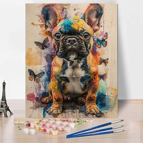 Malen Nach Zahlen Erwachsene Hund Malen Nach Zahlen, Paint by Numbers Schmetterling Painting by Numbers Bastelset Erwachsene mit 3 Pinseln und Acrylfarbe für Zimmer Deko, Geschenke (50x65cm) -zp253EP von Zeipopge