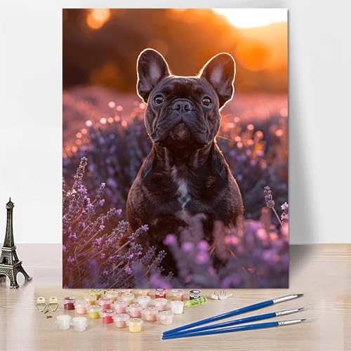 Malen Nach Zahlen Erwachsene Hund Malen Nach Zahlen, Paint by Numbers Tier Painting by Numbers Bastelset Erwachsene mit 3 Pinseln und Acrylfarbe für Zimmer Deko, Geschenke (50x65cm) -zp253UW8XU2 von Zeipopge