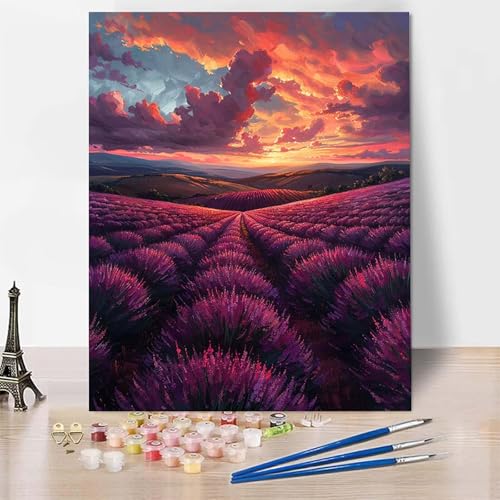 Malen Nach Zahlen Erwachsene Landschaft Malen Nach Zahlen, Paint by Numbers Lavendel Painting by Numbers Bastelset Erwachsene mit 3 Pinseln und Acrylfarbe für Zimmer Deko, Geschenke (50x65cm) -zp253Z2 von Zeipopge