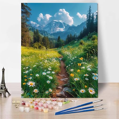 Malen Nach Zahlen Erwachsene Landschaft Malen Nach Zahlen, Paint by Numbers Wiese Painting by Numbers Bastelset Erwachsene mit 3 Pinseln und Acrylfarbe für Zimmer Deko, Geschenke 30 X 40 CM -zp2534Y von Zeipopge