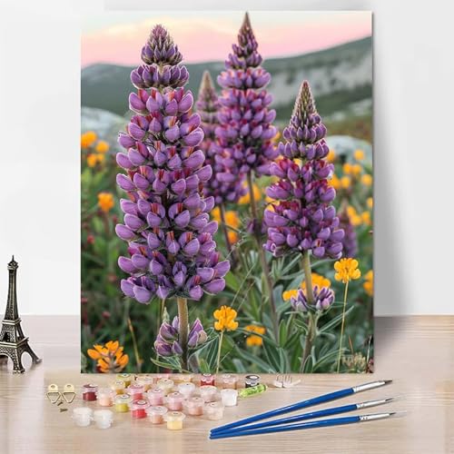 Malen Nach Zahlen Erwachsene Lavendel Malen Nach Zahlen, Paint by Numbers Blume Painting by Numbers Bastelset Erwachsene mit 3 Pinseln und Acrylfarbe für Zimmer Deko, Geschenke (70x95cm) -zp2537O von Zeipopge