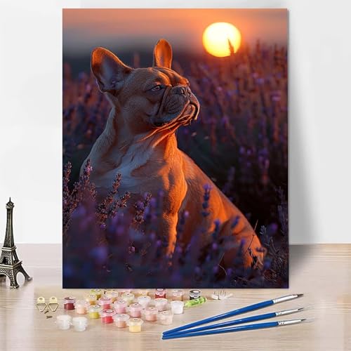 Malen Nach Zahlen Erwachsene Lavendel Malen Nach Zahlen, Paint by Numbers Hund Painting by Numbers Bastelset Erwachsene mit 3 Pinseln und Acrylfarbe für Zimmer Deko, Geschenke 40 X 60 CM -zp253E4 Malen Nach Zahlen Erwachsene Lavendel Malen Nach Zahlen, Paint by Numbers Hund Painting by Numbers Bastelset Erwachsene mit 3 Pinseln und Acrylfarbe für Zimmer Deko, Geschenke 40 X 60 CM -zp253E4 von Zeipopge