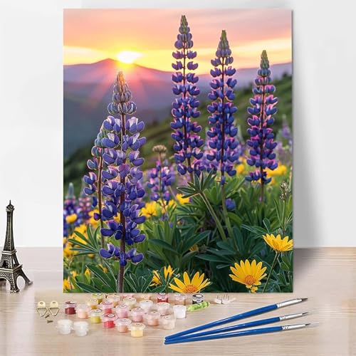 Malen Nach Zahlen Erwachsene Sonnenuntergang Malen Nach Zahlen, Paint by Numbers Lavendel Painting by Numbers Bastelset Erwachsene mit 3 Pinseln und Acrylfarbe für Zimmer Deko (60 x 80 cm) -zp2536T von Zeipopge