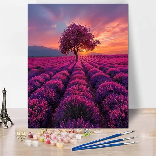 Malen Nach Zahlen Erwachsene Sonnenuntergang Malen Nach Zahlen, Paint by Numbers Lavendel Painting by Numbers Bastelset Erwachsene mit 3 Pinseln und Acrylfarbe für Zimmer Deko 70 x 95 cm -zp2534C Malen Nach Zahlen Erwachsene Sonnenuntergang Malen Nach Zahlen, Paint by Numbers Lavendel Painting by Numbers Bastelset Erwachsene mit 3 Pinseln und Acrylfarbe für Zimmer Deko 70 x 95 cm -zp2534C von Zeipopge