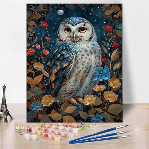 Malen Nach Zahlen Erwachsene Tier Malen Nach Zahlen, Paint by Numbers Eule Painting by Numbers Bastelset Erwachsene mit 3 Pinseln und Acrylfarbe für Zimmer Deko, Geschenke 20 x 30 cm -zp25340H833 von Zeipopge