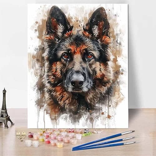 Malen Nach Zahlen Erwachsene Tier Malen Nach Zahlen, Paint by Numbers Hund Painting by Numbers Bastelset Erwachsene mit 3 Pinseln und Acrylfarbe für Zimmer Deko, Geschenke 20 x 30 cm -zp25380R852 von Zeipopge