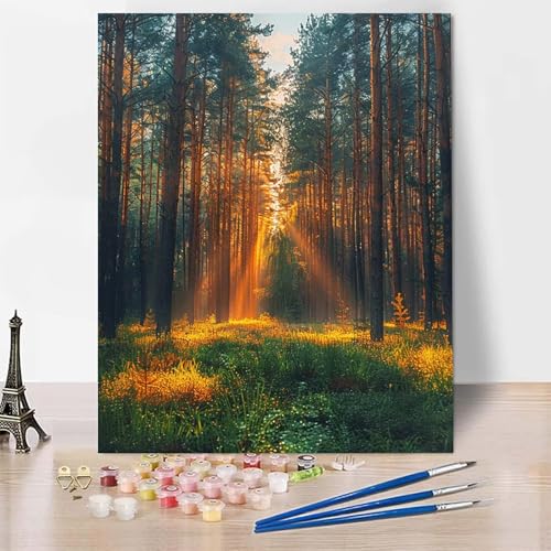 Malen Nach Zahlen Erwachsene Wald Malen Nach Zahlen, Paint by Numbers Landschaft Painting by Numbers Bastelset Erwachsene mit 3 Pinseln und Acrylfarbe für Zimmer Deko, Geschenke (30 x 40 cm) -zp25355 von Zeipopge