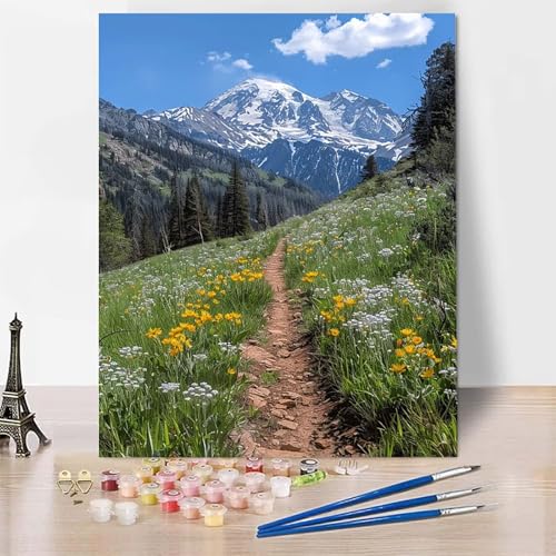 Malen Nach Zahlen Erwachsene Wiese Malen Nach Zahlen, Paint by Numbers Berg Painting by Numbers Bastelset Erwachsene mit 3 Pinseln und Acrylfarbe für Zimmer Deko, Geschenke (30 x 40 cm) -zp253OG von Zeipopge