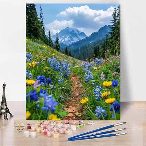 Malen Nach Zahlen Erwachsene Wiese Malen Nach Zahlen, Paint by Numbers Landschaft Painting by Numbers Bastelset Erwachsene mit 3 Pinseln und Acrylfarbe für Zimmer Deko (100 x 135 cm) -zp25332U4C1 von Zeipopge