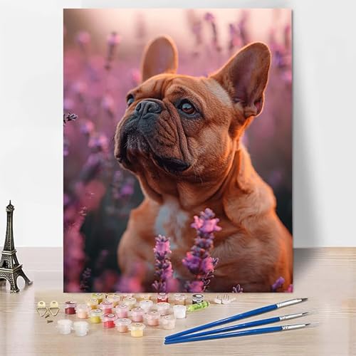 Malen Nach Zahlen Hund Malen Nach Zahlen Erwachsene, Paint by Numbers Lavendel Paint by Numbers Adult Inklusive 3 Pinsel und Acrylfarbe für Zimmer Deko Wohnzimmer, Geschenke (50 x 65 cm) -zp25383 von Zeipopge