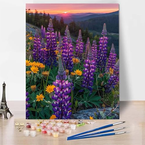 Malen Nach Zahlen Lavendel Malen Nach Zahlen Erwachsene, Paint by Numbers Anlage Paint by Numbers Adult Inklusive 3 Pinsel und Acrylfarbe für Zimmer Deko Wohnzimmer, Geschenke (30x40cm) -zp2535P von Zeipopge