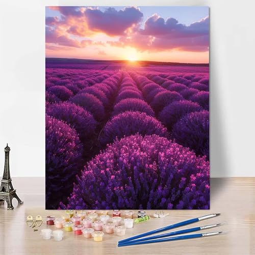 Malen Nach Zahlen Lavendel Malen Nach Zahlen Erwachsene, Paint by Numbers Landschaft Paint by Numbers Adult Inklusive 3 Pinsel und Acrylfarbe für Zimmer Deko Wohnzimmer, Geschenke (100x135cm) -zp253B3 von Zeipopge
