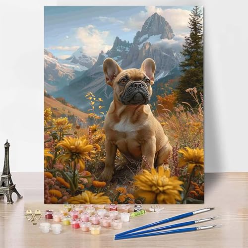 Malen Nach Zahlen Tier Malen Nach Zahlen Erwachsene, Paint by Numbers Hund Paint by Numbers Adult Inklusive 3 Pinsel und Acrylfarbe für Zimmer Deko Wohnzimmer, Geschenke für Frauen 20 X 30 CM -zp253KF von Zeipopge