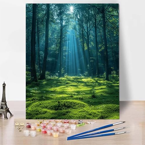 Malen Nach Zahlen Wald Malen Nach Zahlen Erwachsene, Paint by Numbers Landschaft Paint by Numbers Adult Inklusive 3 Pinsel und Acrylfarbe für Zimmer Deko Wohnzimmer, Geschenke (60x80cm) -zp253O5 von Zeipopge