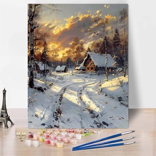 Malen Nach Zahlen Winter Malen Nach Zahlen Erwachsene, Paint by Numbers Landschaft Paint by Numbers Adult Inklusive 3 Pinsel und Acrylfarbe für Zimmer Deko Wohnzimmer, Geschenke 50 X 65 CM -zp2535G von Zeipopge