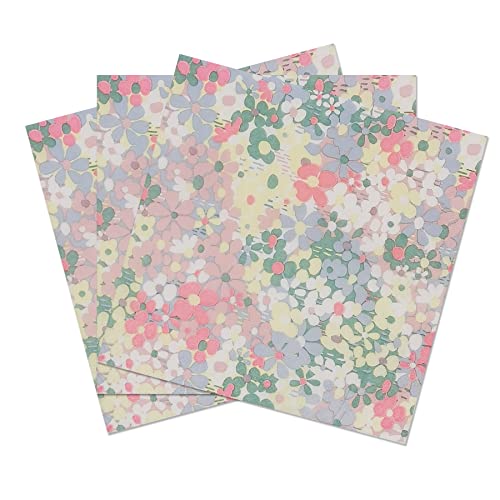Zelten 2-Lagen 20 Count farbigen Papier Servietten für Hochzeit Abendessen Tee Party Dekoration E (The Meadowlands, 1) von Zelten