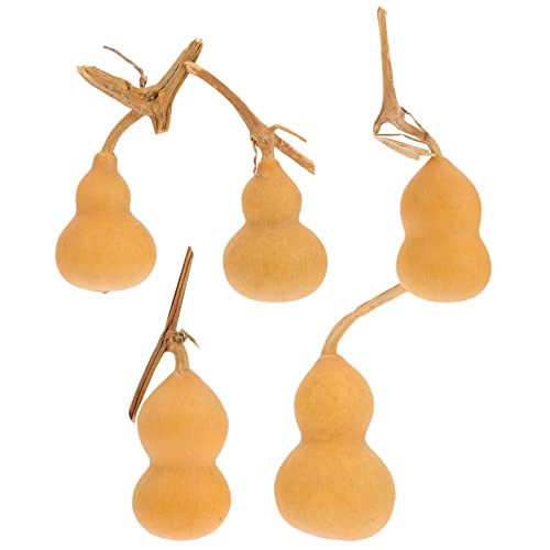 Zerodeko 5 Stücke Natürliche Kürbis Ornamente Einzigartige Artisan Handwerk Dekore Sicher Hause Herbst Dekoration Zufällig Stil von Zerodeko