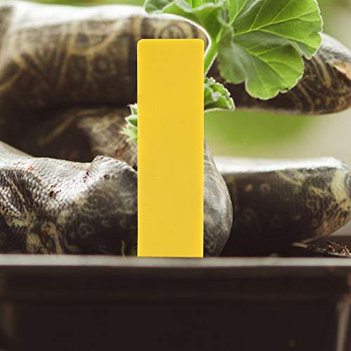 Zerodis 100 PVC -Pflanzenname -Tag, Premium Wasserdichte Gartenmarker, Einfache Pflanzennamen für die Pflanzenidentifikation und Erkennung, Weit Verbreitete in Gärten mit 1,97 * 0,39 Zoll Größe, weiß Zerodis 100 PVC -Pflanzenname -Tag, Premium Wasserdichte Gartenmarker, Einfache Pflanzennamen für die Pflanzenidentifikation und Erkennung, Weit Verbreitete in Gärten mit 1,97 * 0,39 Zoll Größe, weiß von Zerodis