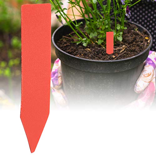 Zerodis 100 PVC -Pflanzenname -Tag, Premium Wasserdichte Gartenmarker, Einfache Pflanzennamen für die Pflanzenidentifikation und Erkennung, Weit Verbreitete in Gärten mit 1,97 * 0,39 Zoll Größe, weiß Zerodis 100 PVC -Pflanzenname -Tag, Premium Wasserdichte Gartenmarker, Einfache Pflanzennamen für die Pflanzenidentifikation und Erkennung, Weit Verbreitete in Gärten mit 1,97 * 0,39 Zoll Größe, weiß von Zerodis